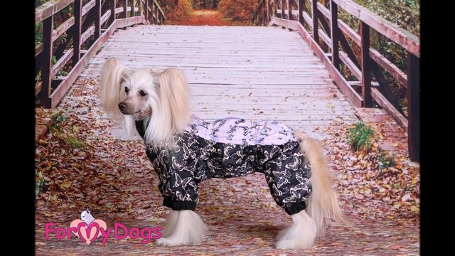 Одежда для собак/Дождевики Весна 2021/ ForMyDogs/Китайская хохлатая