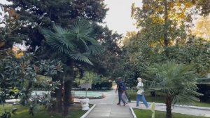 #СОЧИ СЕГОДНЯ / ПОГОДА В СОЧИ В ОКТЯБРЕ ☀️ ? СОЧИ ОНЛАЙН