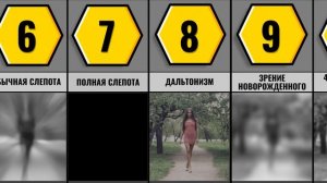 Как Видит Человек В Разных Состояниях