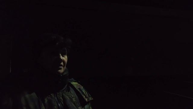 Наблюдаем коров в боксах