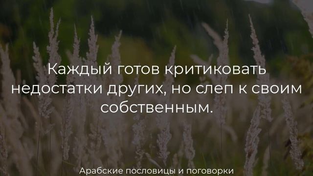 Удивительно мудрые Арабские Пословицы и Поговорки. Пословицы, поговорки,мудрые мысли. смотреть онлайн