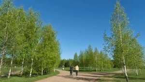 Богач привел гадалку для знакомства с родителями, а когда невеста увидела линию судьбы отца жениха