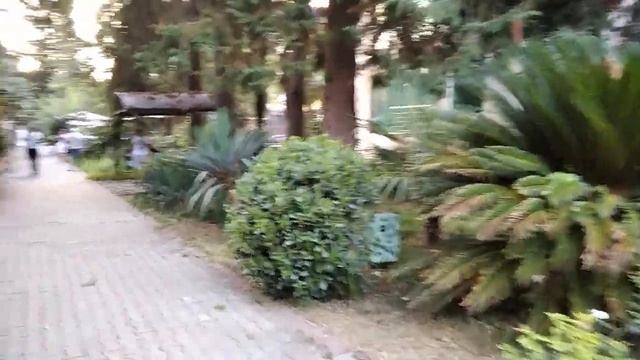 Визитная карточка города Сочи -парк развлечений Ривьераl Атракционы и много всего интересного