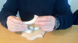 Медальон с клыками кабана своими руками. Часть 1-я. Задачи по подготовке изделия, обработка клыков.