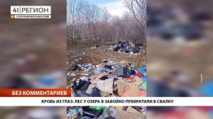 КРОВЬ ИЗ ГЛАЗ: ЛЕС У ОЗЕРА В ЗАВОЙКО ПРЕВРАТИЛИ В СВАЛКУ • Без Комментариев