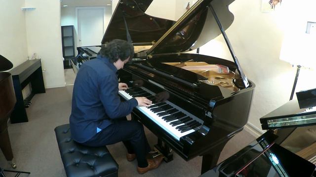 Mason & Hamlin Model B 5'4" Grand Piano смотреть онлайн