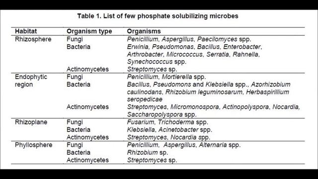 Growth Promotion of Plants, Especially Rice, by Phosphate Solubilizing Microbes смотреть онлайн