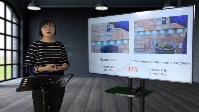 КАРТОФЕЛЬ  - выращиваем без садовой химии. Видеолекция