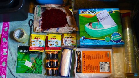 Новинки на рыборазводне аквариумных рыбок!