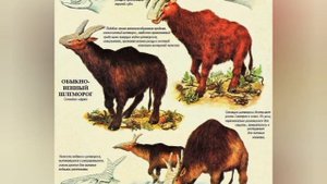 Дикий мир будущего эволюция животных