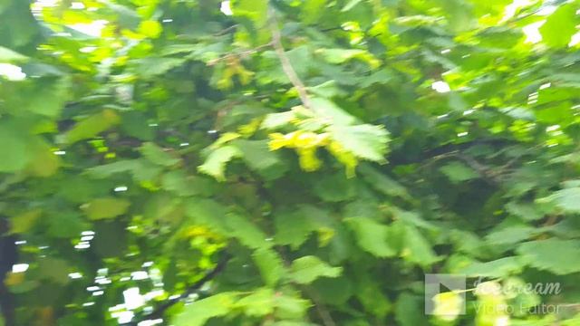 ?ЛАЗАРЕВСКОЕ СОЧИ. ул.Седова 4. 3й раз смотреть этот дом не пойду!!! Смотрите предыдущие видео))) смотреть онлайн