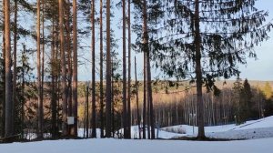 Первомай на Красном озере 2022.mp4