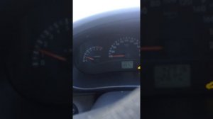 Заводим калину в морозы