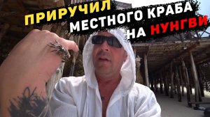 Шок В Кафе! Ужин с тухлым лобстером. Занзибар 2021