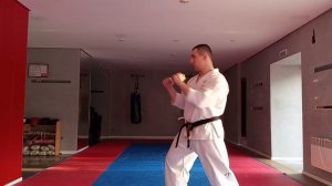 Мае Гери+Ёко Гери+Какэ Гери+Маваши Гери+Уширо Гери