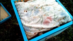 Подготовка колод с пчёлами к зиме 2018г. Колодное пчеловодство