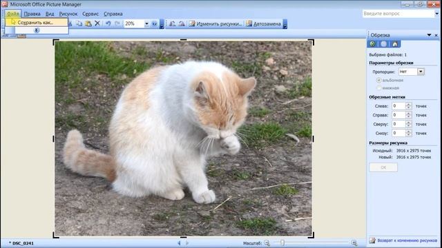 Урок №14. Программа по обработке изображений Mlcrosoft Office Picture Manager смотреть онлайн