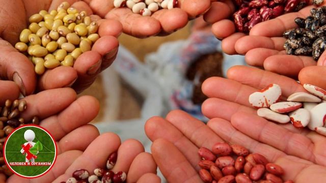 8 САМЫХ ПОЛЕЗНЫХ ПРОДУКТОВ ПИТАНИЯ #продкуты #проезныепродукты смотреть онлайн