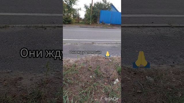 кроху выбррсили на трассе в Курской обл