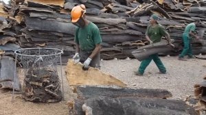 Как в Португалии делают винные пробки из пробкового дуба | Как это делается