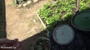 Не выкидывайте траву!! Самое лучшее удобрение своими руками