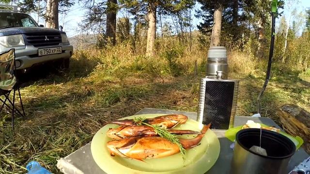 Рыбачим на хариуса. Коптим окуня, щуку, хариуса. Pajero io не подвел! смотреть онлайн