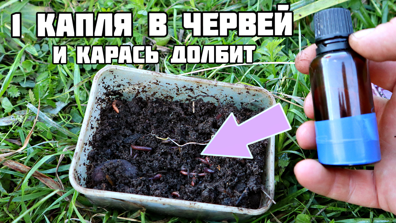 Если капнуть в червей каплю этого ароматизатора карась уловит запах за 400метров. Берите на заметку.