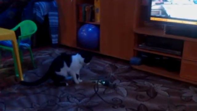 SYMA S109G APACHE AN-64 VS CAT смотреть онлайн