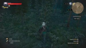 The Witcher 3: Wild Hunt часть 98 моменты игры на Русском (PS4)