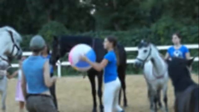 Игра в мяч. смотреть онлайн