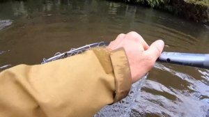 FLY FISHING in the BEST Water for TROUT!