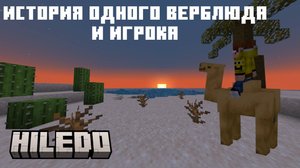 Хиледо: история верблюда и игрока