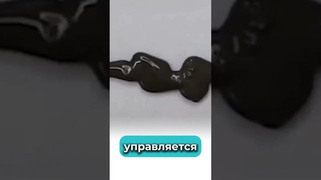 Китайские ученые создали робота слизняка