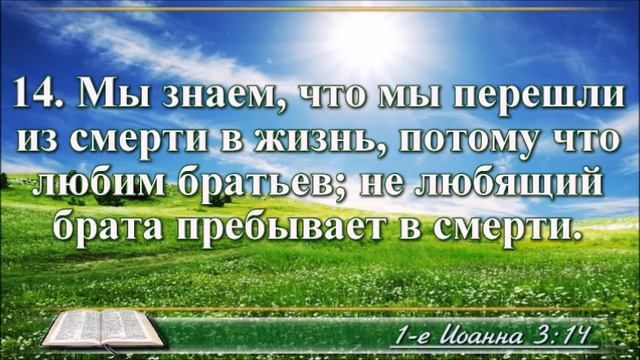 ВидеоБиблия Первое послание Иоанна читает Бондаренко
