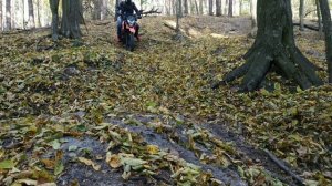 Покатушки на МОТО лайт ендуро мото кросс по лесным дорогам и горам на LONCIN LX 200 GY-3 PRUSS