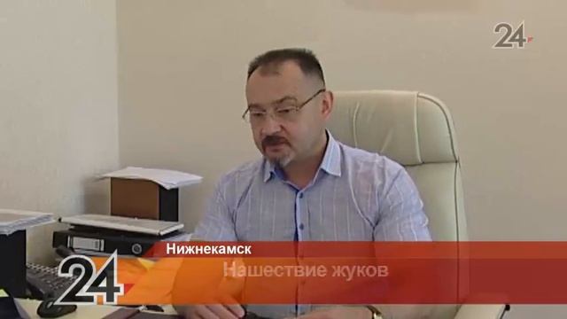 В Нижнекамске жуки-короеды поселились в многоэтажке смотреть онлайн