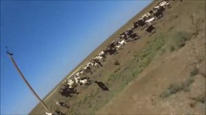 Крым 2015 Мыс  у оз  Качик   мыс Хамелеон