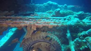 Затонувшее судно "Тистлегорм". Wreck SS Thistlegorm. Египет. Дайвинг сафари