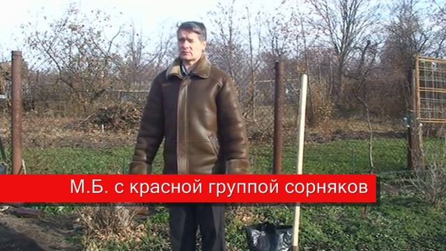 Борьба с сорняками׃  Группы сорняков и способы борьбы с ними