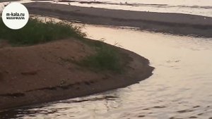 [МАХАЧКАЛА] Слив канализации в Каспийское море, Махачкала, Дагестан.