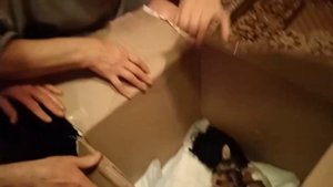 Подарок родителям на Новый Год! Мама плакала от счастья