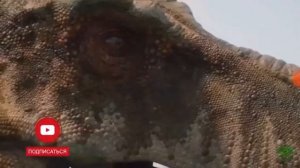 Утро милогого пириуда.