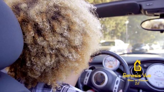 Genesis Vue 2.0 - App Commercial смотреть онлайн