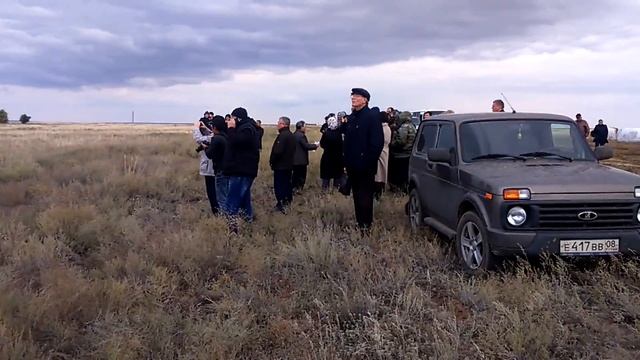 Калмыцкая порода быков
