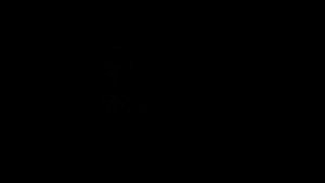 Виды мышления развитие мышления в онтогенезе