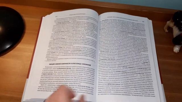Лучшие книги для изучение Анатомии/ Книги по Анатомии/ Топ 5 книг по Анатомии