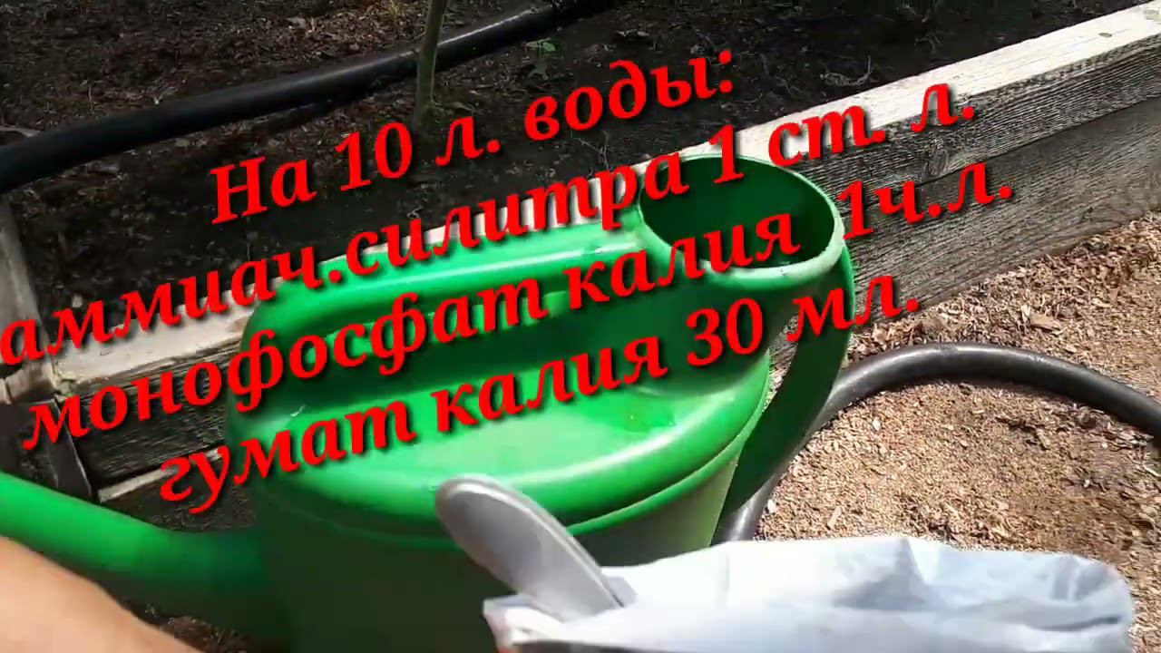 Сделайте это с томатами в июле....