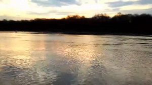 Обкатка гибрида Стрела - Чемпион 225