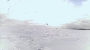 Сноукайтинг в Павлово на Оке