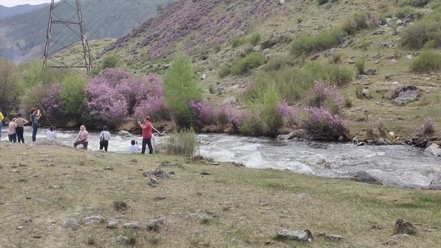 Горный Алтай